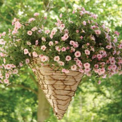 Robert Allen Home and Garden – DSMOZ